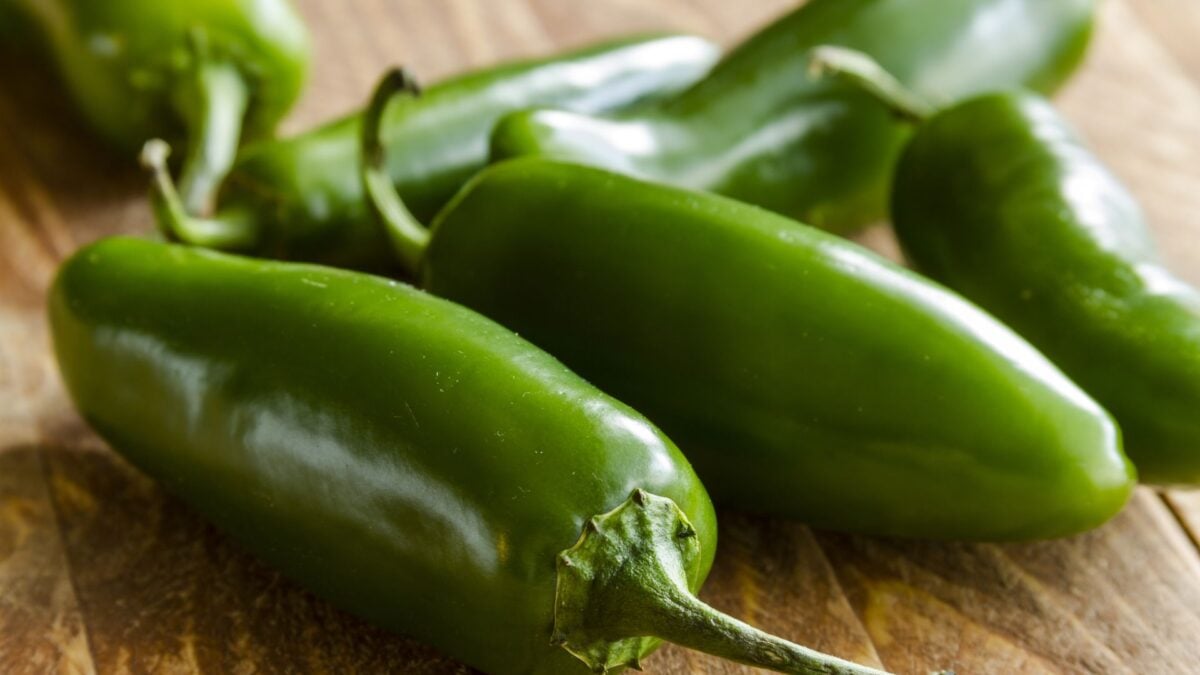 Coast Citrus Distributors — Jalapeño-Linked Salmonella Outbreak Affects 27 States